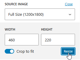 Image resizing controls showing in image size selection control